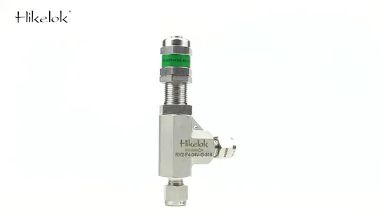 Hikelok 316 ステンレス鋼比例スプリング調整可能なリリーフバルブ圧力安全弁